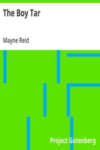 Cover of The Boy Tar — Reading Notes